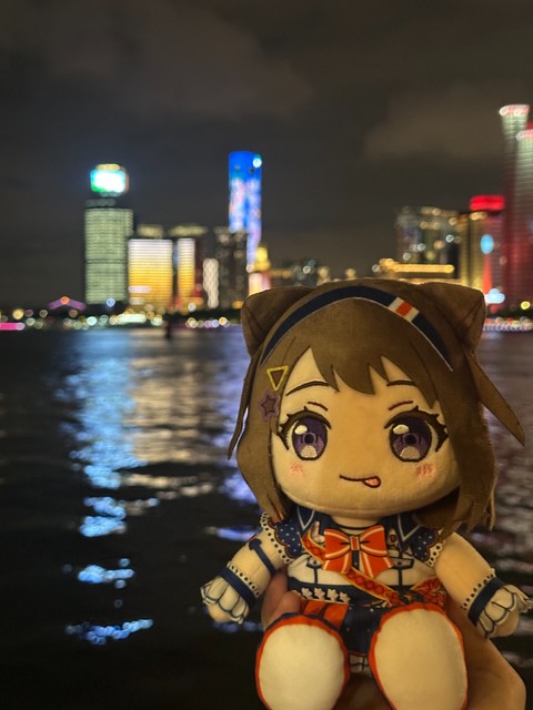 tiranasi's profile photo: a plush toy against a waterfront skyline at night